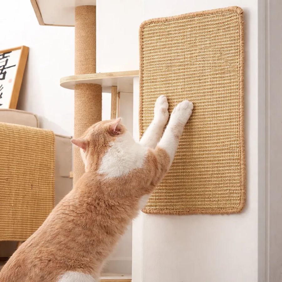 Tapis griffoir pour chat - Tapis mural protection