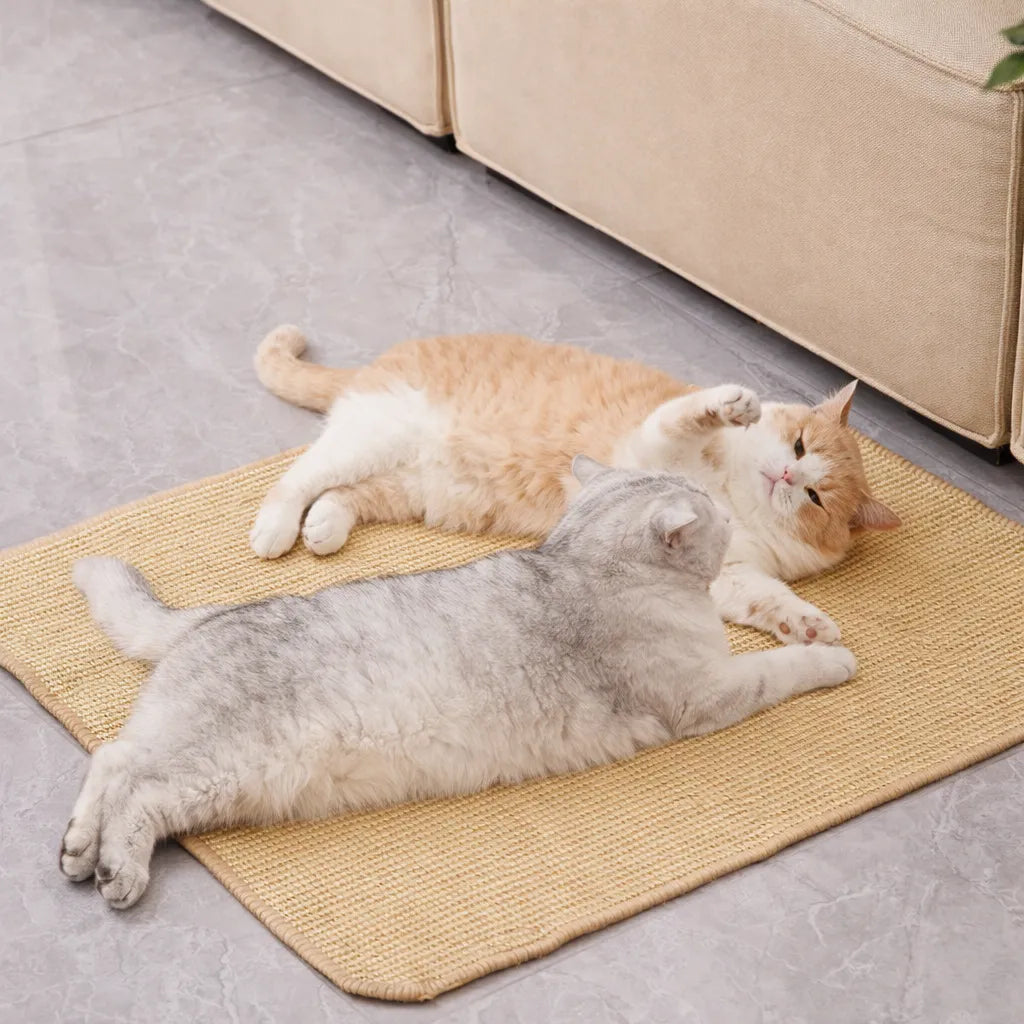 Tapis griffoir pour chat - Tapis mural protection