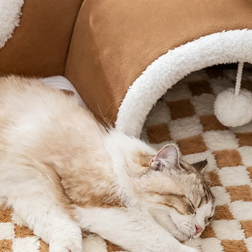 Tunnel à chat 2 en 1 - Jeu repos et stimulation intégrés