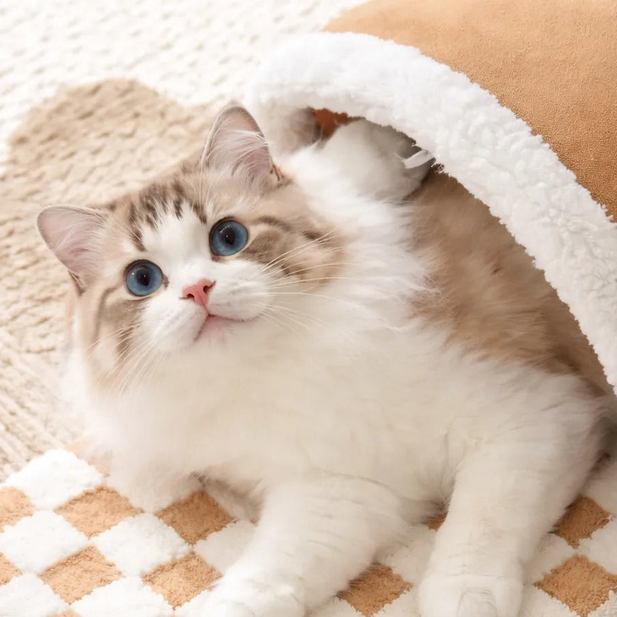 Tunnel à chat 2 en 1 - Jeu repos et stimulation intégrés
